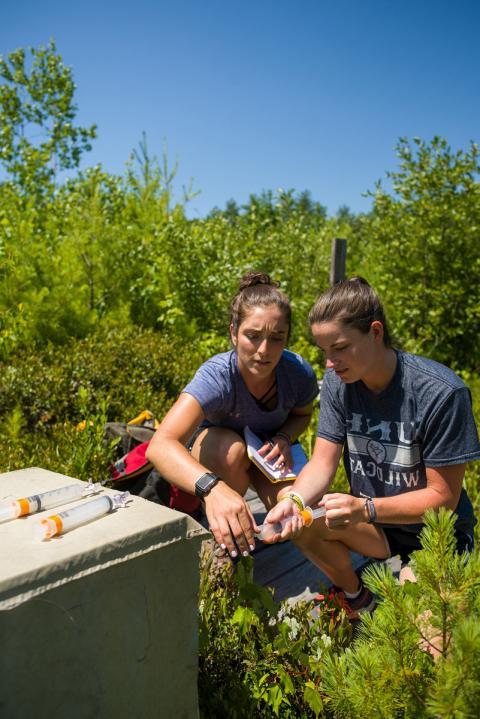 students conducting research in a field